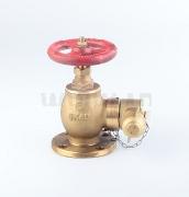 Angle Hydrant Valve