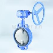 Butterfly Valve