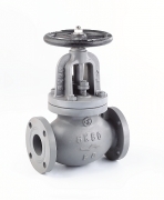 Globe Valve SDNR F7353