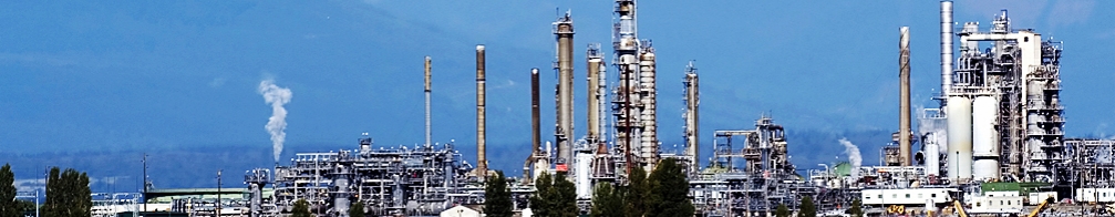 Petrochemical